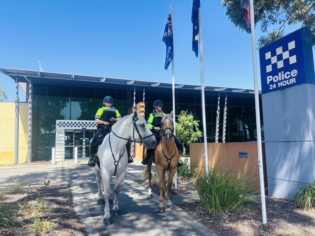 WA Police Mounted officers are out and about today in Bentley. They are patrolling our streets and keeping the community safe!! If you see them be sure to say hello #fb