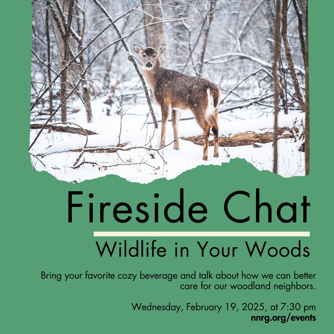 Northwest Natural Resource Group (@nnrgforests) on Twitter photo How can forestry improve wildlife habitat? Join NNRG’s Director of Forestry, Kirk Hanson as he shares insights on stewarding forests for our woodland friends. Bring your questions & stories—we'll explore ways to foster a wildlife-rich forest!  Register: nnrg.org/events How can forestry improve wildlife habitat? Join NNRG’s Director of Forestry, Kirk Hanson as he shares insights on stewarding forests for our woodland friends. Bring your questions & stories—we'll explore ways to foster a wildlife-rich forest!  Register: nnrg.org/events