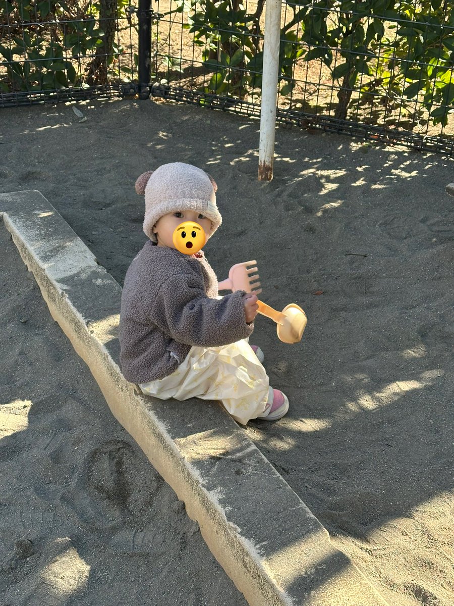 gorilin0202's tweet photo. お砂場、逆ですよ😮 https://t.co/paJc8hRFsR