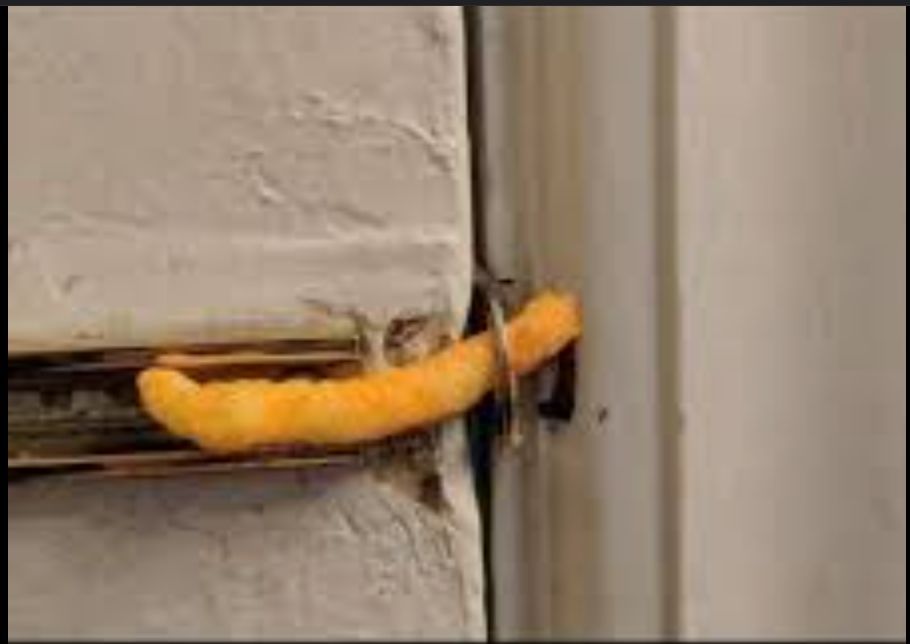 Bored Toolbox tweet media