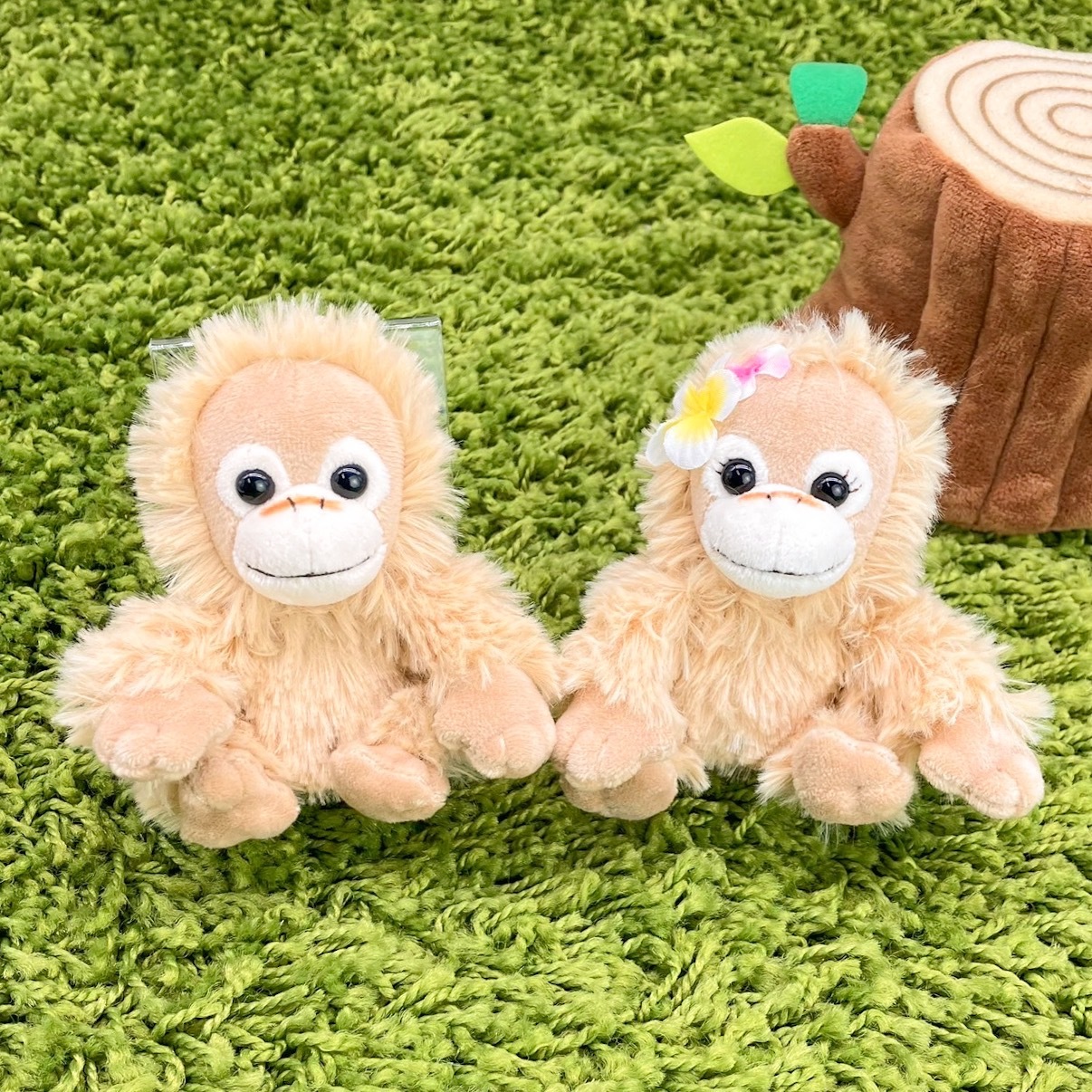 Amazon.co.jp: ベイビーココ&ナツ ベイビーロコ SS