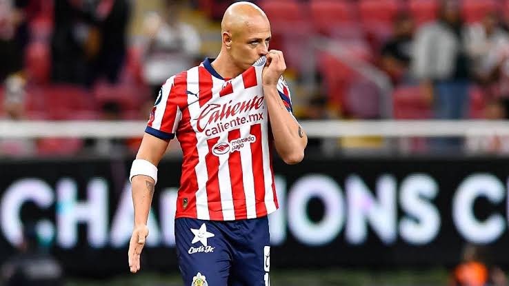 HormiguismoRM's tweet image. Chicharito es probablemente el único futbolista en la historia de este deporte en marcar en:

-UEFA Champions League 
-UEFA Europa League 
-Copa Libertadores
-CONCACAF Champions Cup