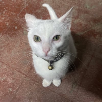 PiraderaPhone's tweet photo. #NuevaFotoDePerfil https://t.co/Anj7sIHPTl