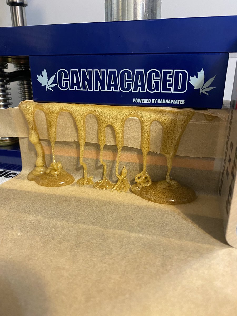 The Cheeba Hawk tweet media