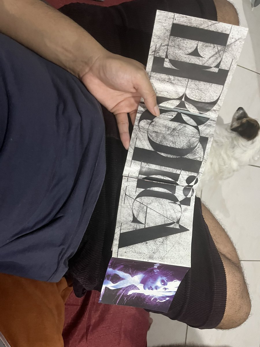 foolnando's tweet image. 