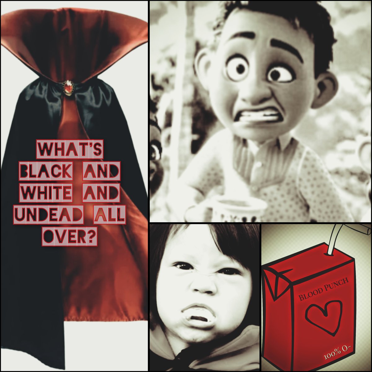 Jacinta Patterson tweet media