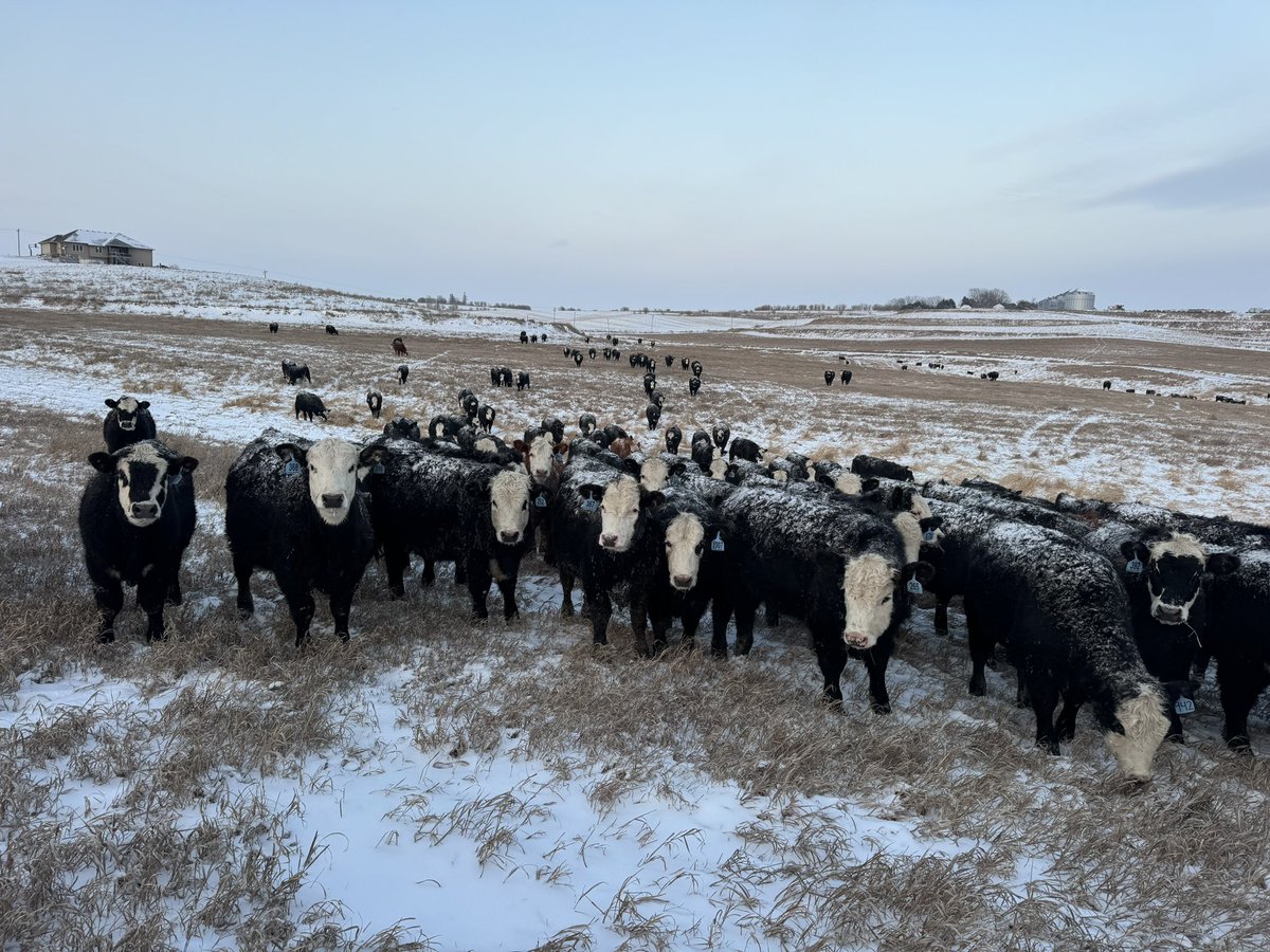 Trevor Carlson tweet media