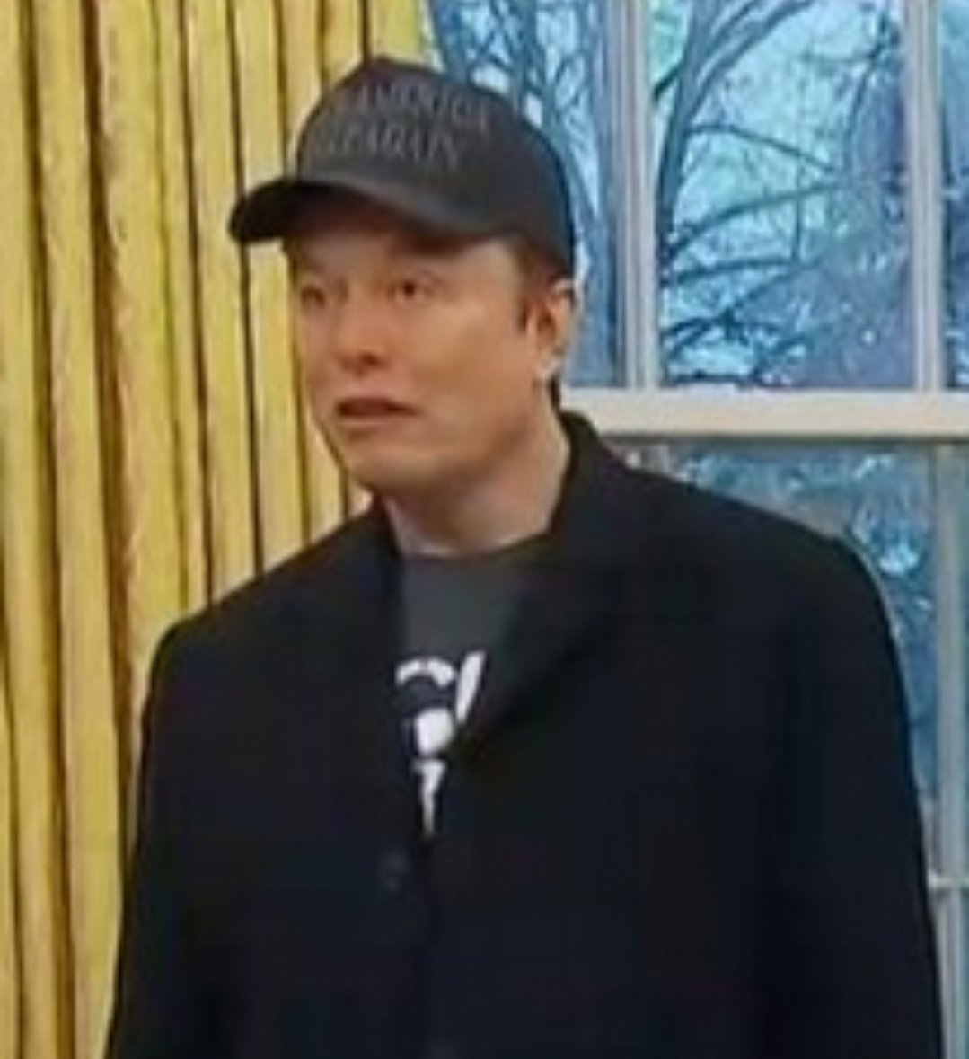 theliamnissan's tweet image. Elon Musk looks like Mike Myers playing Elon Musk