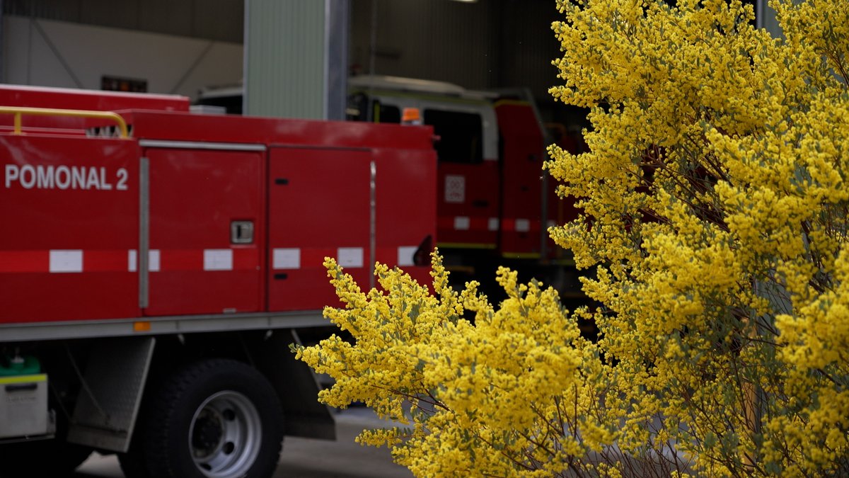 CFA Chief Officer Jason Heffernan tweet media