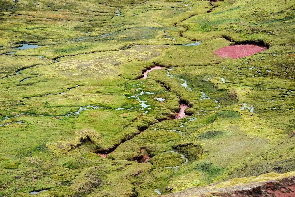 Carbon Brief (@carbonbrief) on Twitter photo NEW ā Just 17% of worldās peatlands are protected, new study warns | <a href="/AyeshaTandon/">Ayesha Tandon</a> <a href="/GAViglione/">Giuliana A. Viglione, PhD</a> w/ comment from Chris Evans, Julie Loisel <a href="/AdamHastie6/">Adam Hastie</a> <a href="/Earth2Mika/">Dr Michelle Kalamandeen</a>
Read here: buff.ly/4hyBCRM NEW ā Just 17% of worldās peatlands are protected, new study warns | <a href="/AyeshaTandon/">Ayesha Tandon</a> <a href="/GAViglione/">Giuliana A. Viglione, PhD</a> w/ comment from Chris Evans, Julie Loisel <a href="/AdamHastie6/">Adam Hastie</a> <a href="/Earth2Mika/">Dr Michelle Kalamandeen</a>
Read here: buff.ly/4hyBCRM