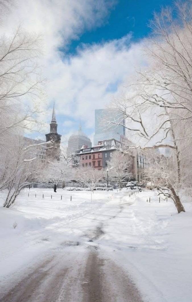 Good morning friends 🌻