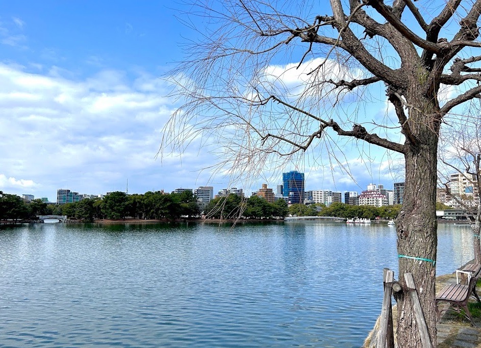 おはようございます✨
博多→☀朝から久々の晴天で
福岡市民憩いの場大濠公園に
来ました〜
気分的にも上がりますね〜⤴️
本日も頑張ります🙇
#企業公式が毎朝地元の天気を言い合う 
#企業公式冬のフォロー祭り 
#企業公式相互フォロー祭り 
#企業公式つぶやき部