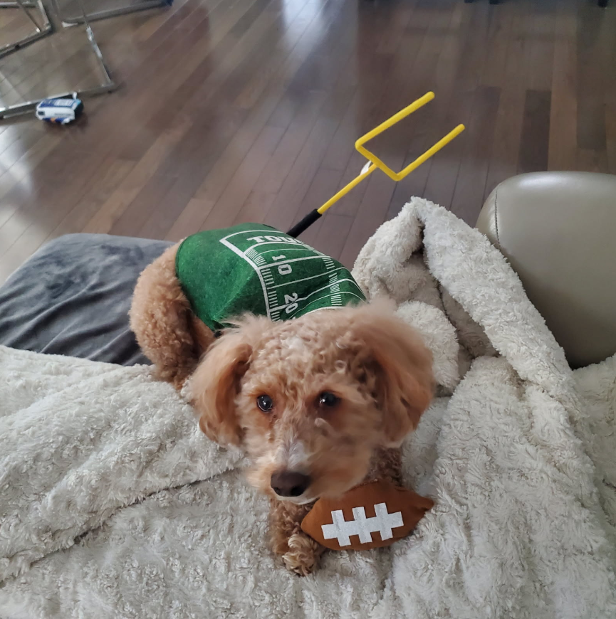 Nationwide (@nationwide) on Twitter photo Congratulations, <a href="/LoriMartini/">Lori Martini</a>, on being the #BoopInTheBayouContest Game Day winner!
Thanks to all who participated in the #BoopInTheBayouContest Game Day contest.
#NationwidePet #NWPets #petsofinstagram #petinsurance Congratulations, <a href="/LoriMartini/">Lori Martini</a>, on being the #BoopInTheBayouContest Game Day winner!
Thanks to all who participated in the #BoopInTheBayouContest Game Day contest.
#NationwidePet #NWPets #petsofinstagram #petinsurance