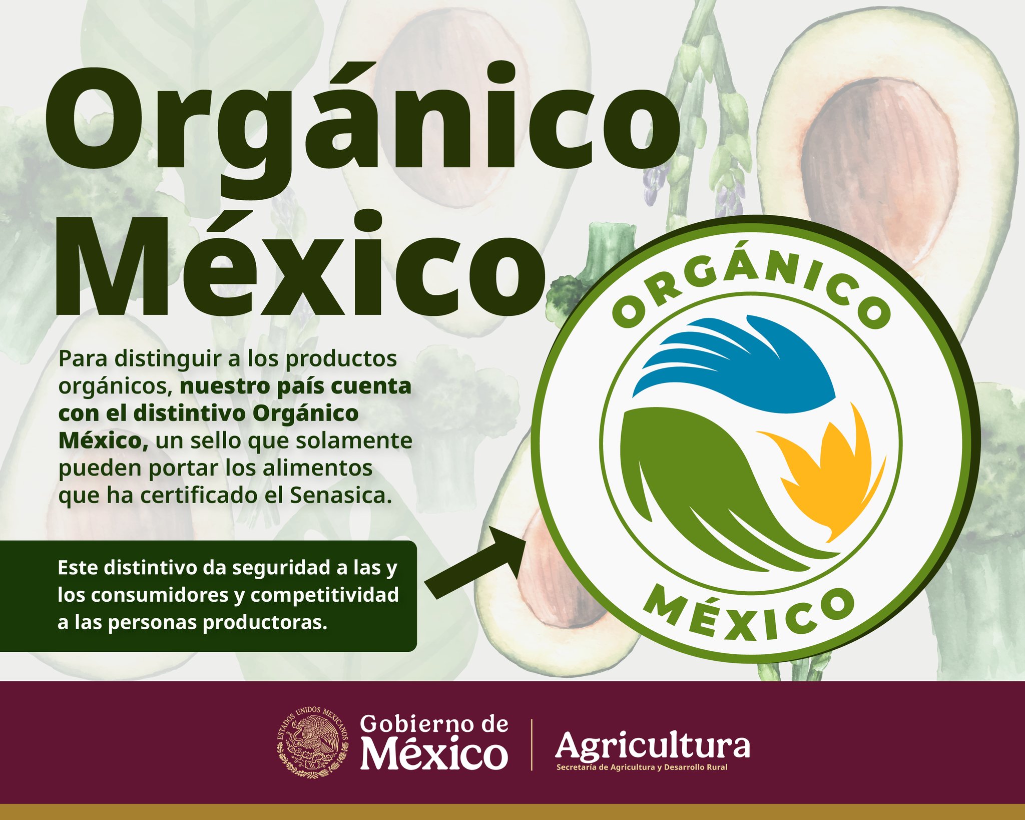 GjoR2beWwAAqcSv?format=jpg&name=large Todo lo que Debes Saber sobre la Certificación México Orgánico