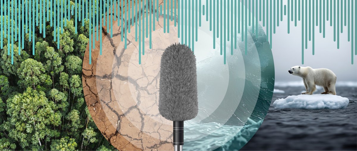 Queer Radio Brisbane tweet media