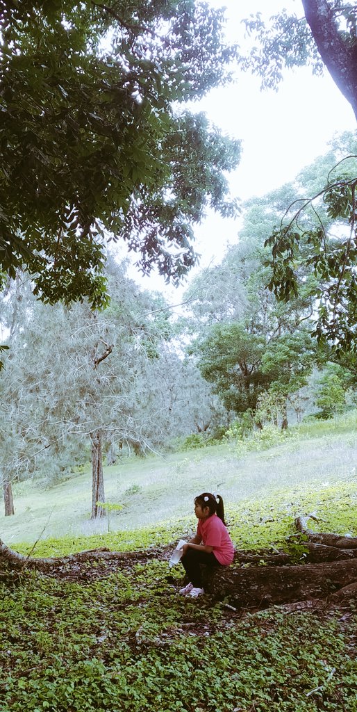 chibikojoe's tweet photo. 💚🍃 https://t.co/YHupOJkCec