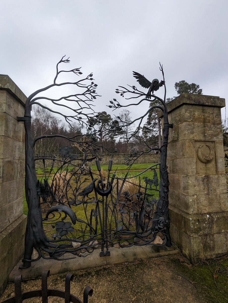 Finlay Elliott tweet media