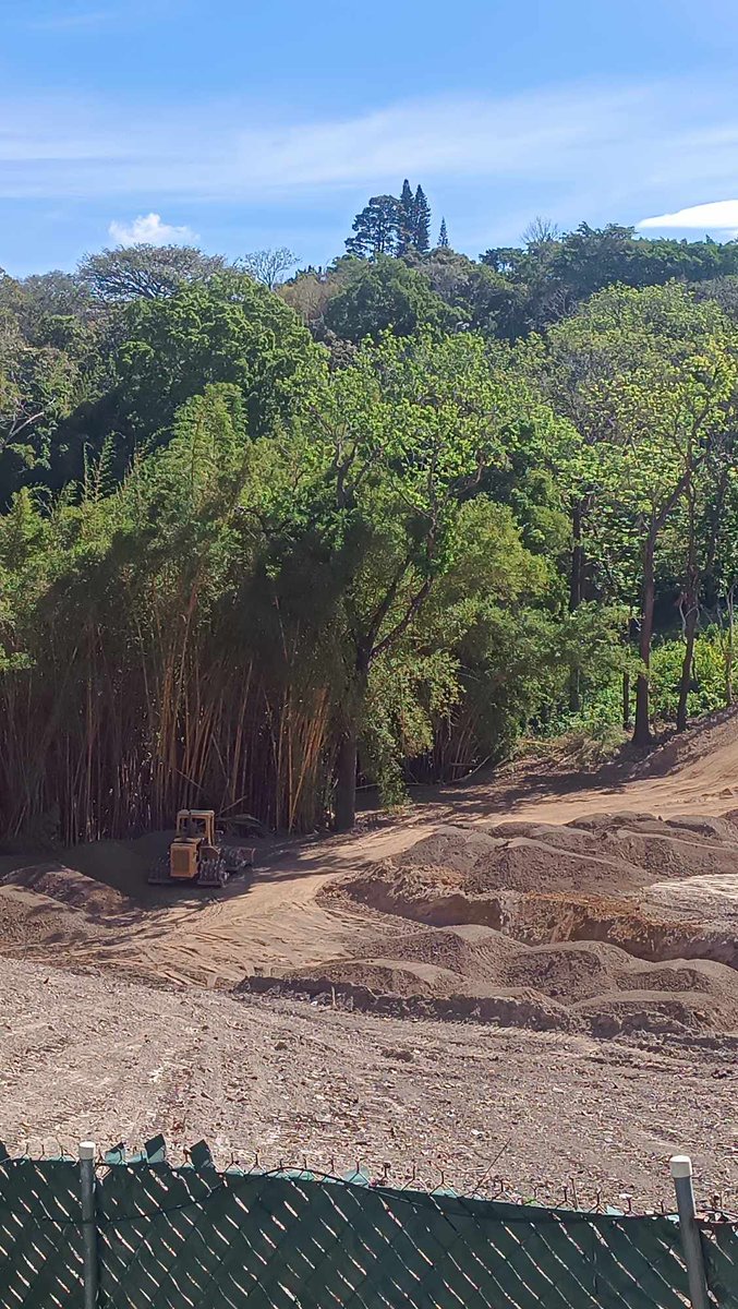 #DenunciaAmbiental | La construcción del Centro Comercial Los Planes sigue en ejecución sin permiso ambiental. 

Los habitantes reclaman que las obras eran para obras de mitigación y no para un centro comercial.

Foto: Noticias Panchimalco.
mala-yerba.com