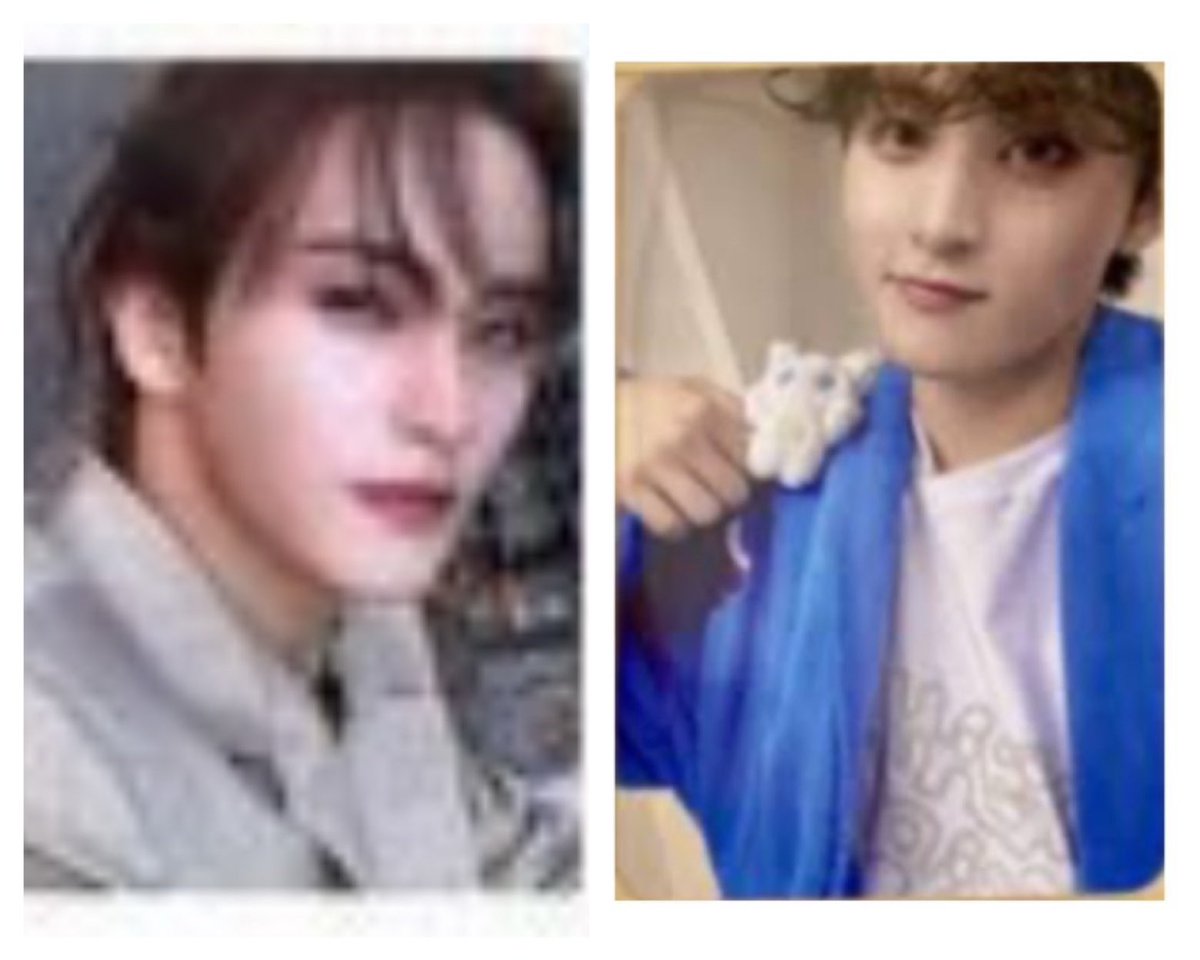 127618🐯🌱 tweet media