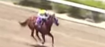los_deporte's tweet photo. #Hipismo 
Una buena salida en esta oportunidad y está será la ganadora de la cuarta válida. Se ha ganado a la primera favorita en par de oportunidades. Me gusta esta línea para este domingo y esperamos una "Dulce Victoria" por ahora está sera mi sugerencia ✍️#Domingo #5y6 https://t.co/UsKurbRcJQ