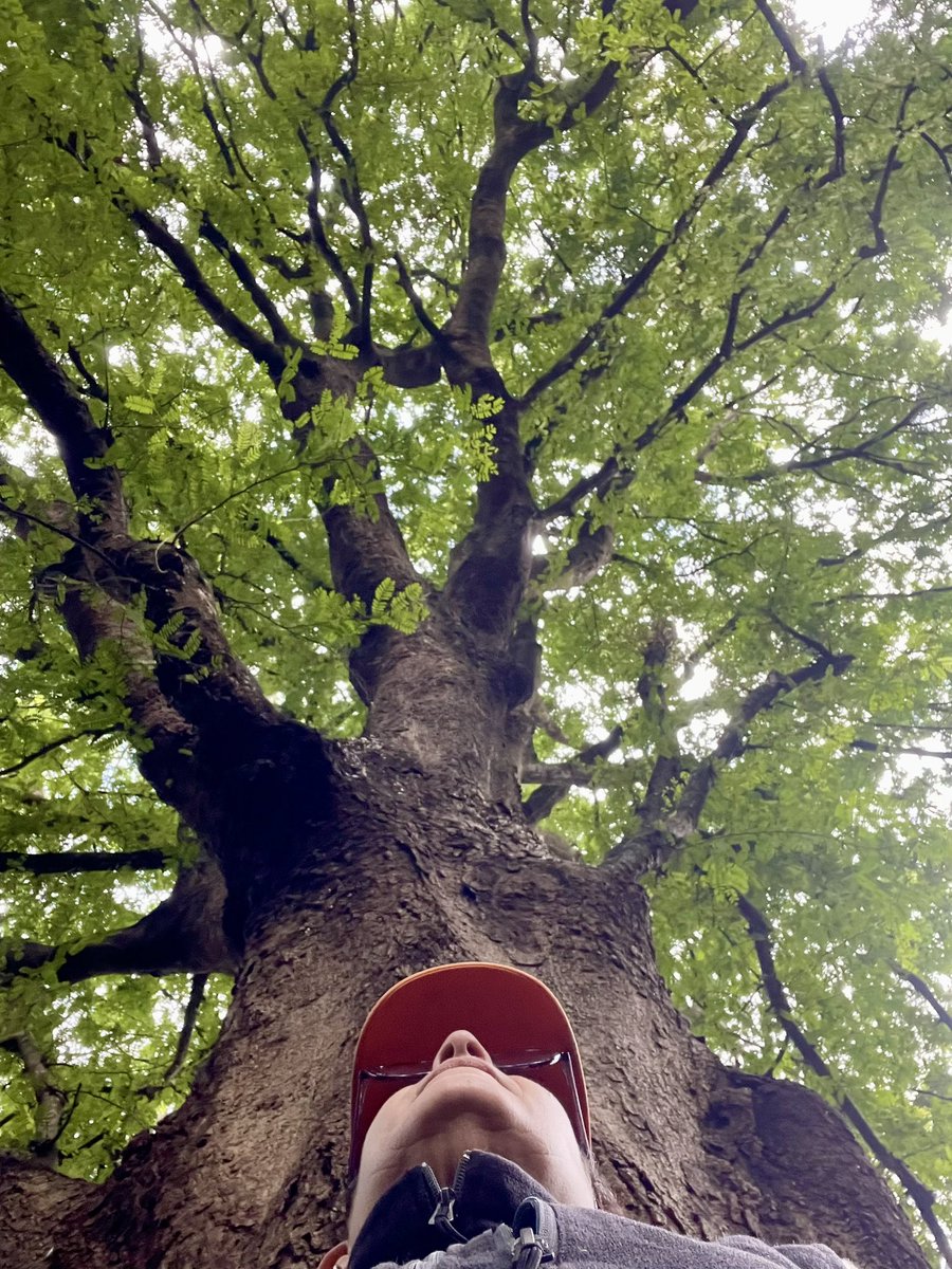 Estos dis demonio$ del mal del mundo esparcen pura bilis, insulto, maldad, ignorancia, misoginia, armas, guerras y homofobia.Quieren oscurecer nos y contaminar el universo que nos habita ✨donde La Paz, el amor y el silencio interno, es lo que nos salvará ✨🙏Aho🌺