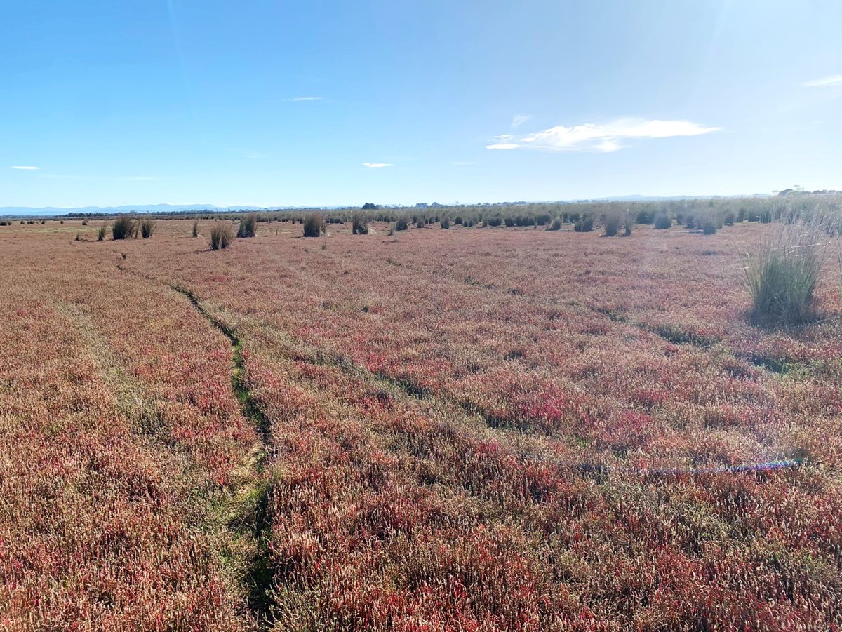 The Delta #80 (Feb 2025)
 GWF news from the wide world of water

1. Urban water scarcity in Bursa, Türkiye
2. From mud to marsh in five years
3. Water is the other US-Mexico border crisis
4. Controlled wetlands reduce flooding

and more
bit.ly/3QfxRV9