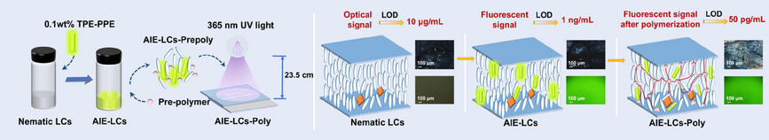 Aggregate (@aggregateoa) on Twitter photo Early View💡
"Aggregation Induced Emissive Liquid Crystals-#Polymer Composite Membrane for Dual-Channel Analysis of #Parathyroid #Hormone" by Dongyu Zhao, Min Li & Ben Zhong Tang et al. <a href="/BenZhongTANG1/">Ben Zhong TANG</a> <a href="/cuhksz/">The Chinese University of Hong Kong, Shenzhen</a> <a href="/Wiley_Chemistry/">Wiley Chemistry</a> #AIE #LCs
Check👉doi.org/10.1002/agt2.7… Early View💡
"Aggregation Induced Emissive Liquid Crystals-#Polymer Composite Membrane for Dual-Channel Analysis of #Parathyroid #Hormone" by Dongyu Zhao, Min Li & Ben Zhong Tang et al. <a href="/BenZhongTANG1/">Ben Zhong TANG</a> <a href="/cuhksz/">The Chinese University of Hong Kong, Shenzhen</a> <a href="/Wiley_Chemistry/">Wiley Chemistry</a> #AIE #LCs
Check👉doi.org/10.1002/agt2.7…