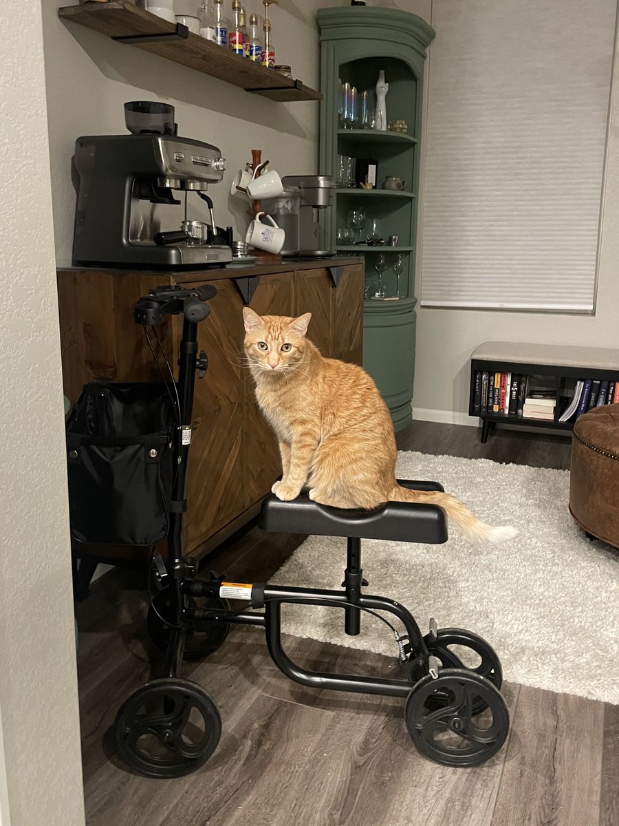 Throwing Or Bad Org tweet media