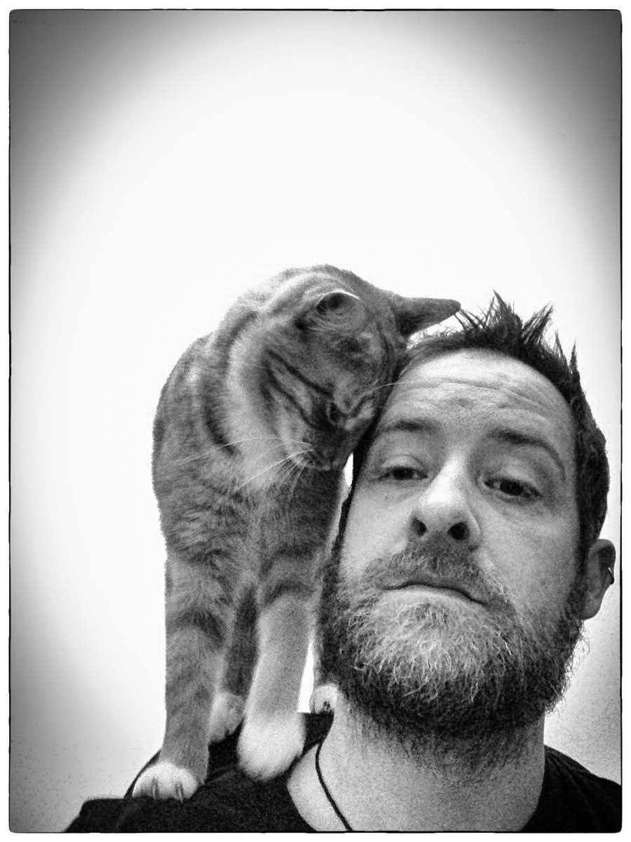 @MrDowsett tweet media