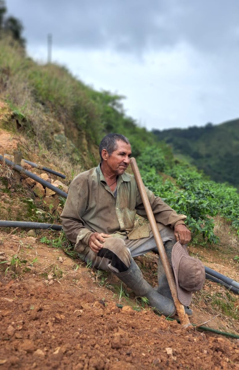 ma_fe_garrido's tweet image. 💪 A pesar de las dificultades, AGROSAVIA sigue demostrando que el campo colombiano es una prioridad.
🤝 El trabajo en el Catatumbo es un ejemplo de cómo la investigación y la innovación pueden cambiar vidas y comunidades.