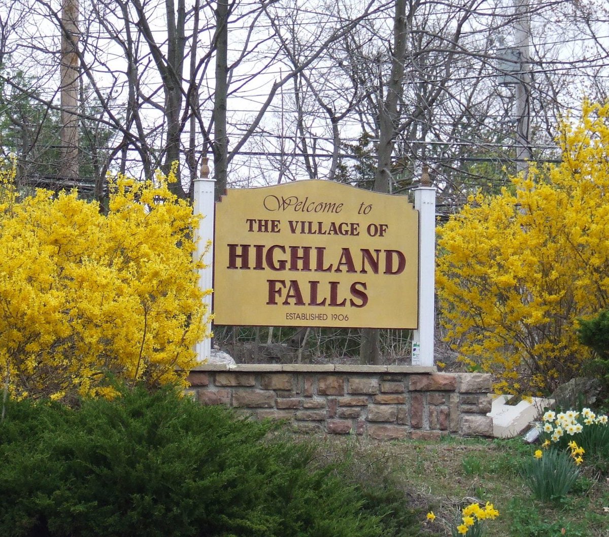 Drunk Old Grad tweet media