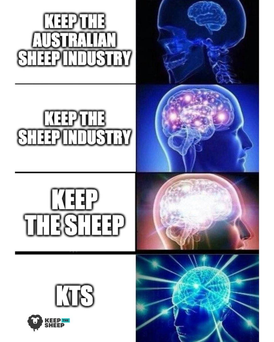 KeepTheSheep tweet media