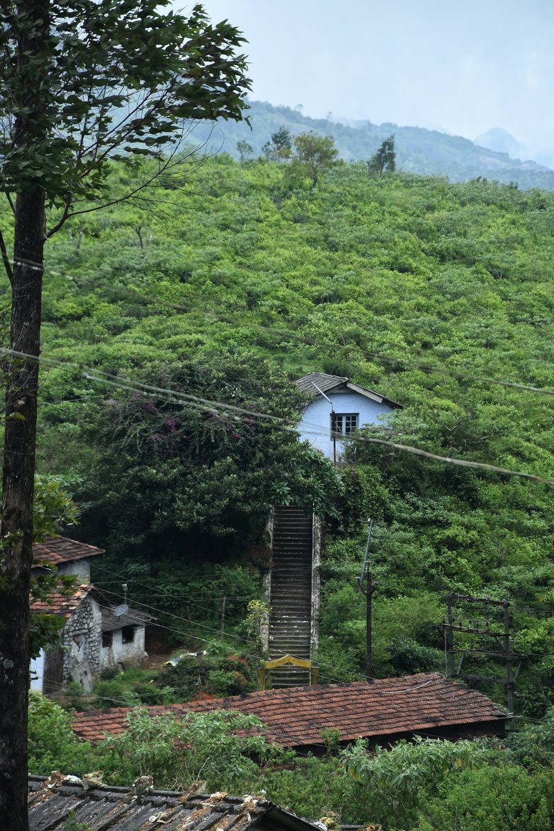 TenkasiWeather's tweet photo. ஊத்து எஸ்டேட் மாஞ்சோலை - காடுகள் மலைகள் இறைவன் தந்த கலைகள்.
#Tirunelveli #tenkasi #papanasam #manimuthar #manjolai #kakkachi #nalumukku #oothu https://t.co/rrrVw5hXrT