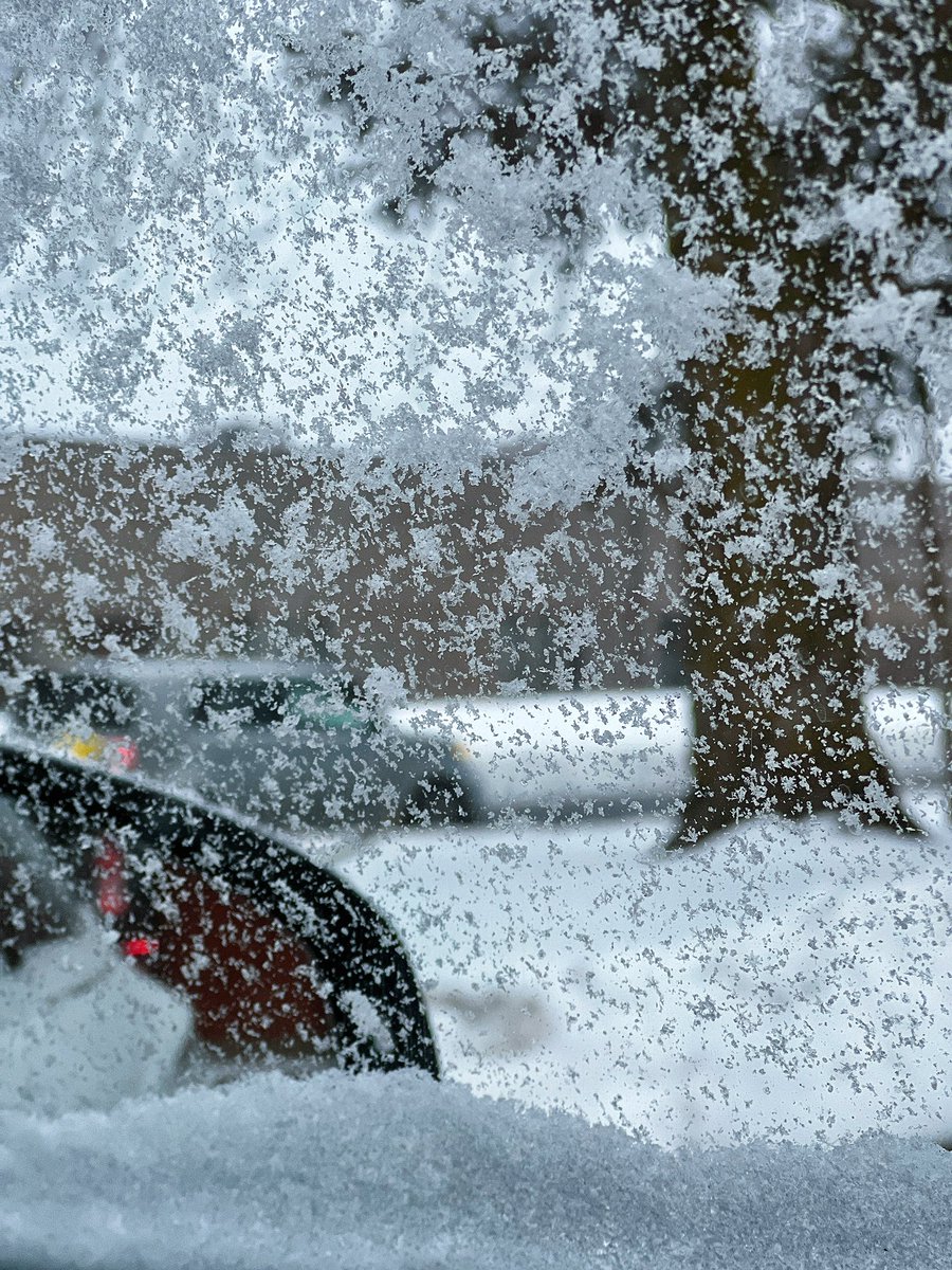 ❄️ https://t.co/6bfdkr6VUX