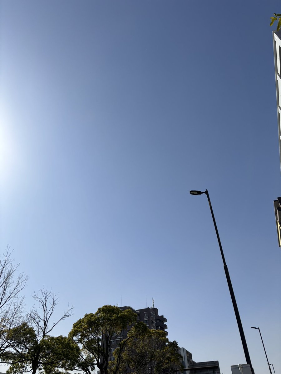おはようございます☺️

今日の川崎市の天気は、晴れのち曇り🌤️

最高気温は12℃ですが、風が強いので、体感温度は寒く感じます🥶

体調に気をつけて、今日も一日頑張っていきましょう😄

#企業公式が毎朝地元の天気を言い合う
#企業公式冬のフォロー祭り
#就労移行 #就労継続支援B型 #川崎