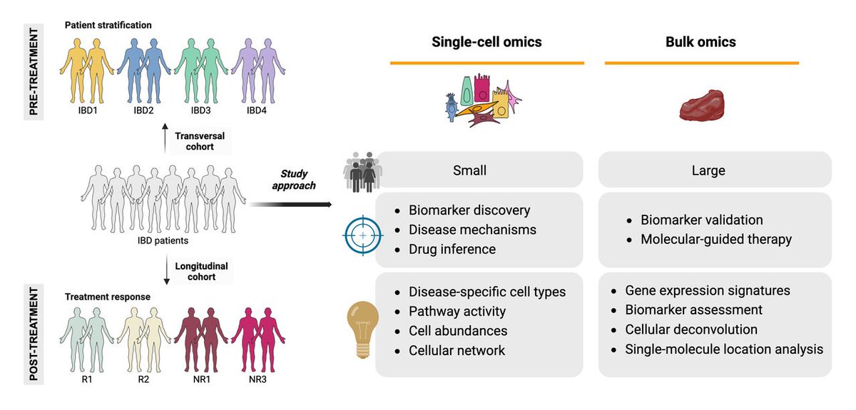 #GUTOnline #GUTRecentAdvancesInBasicScience paper by Gudiño et al entitled

"Single-cell omics in inflammatory bowel disease: recent insights and future clinical applications" via 

bit.ly/4gyhxcX 

<a href="/AzucenaSalas17/">Azucena Salas</a> <a href="/ibd_bcn/">IBD lab</a> #IBD #Omics
