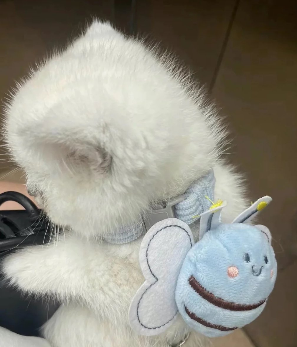 今日の朝😝😝
赤ちゃんを連れて散歩に出かけましょう🐕🐾💕