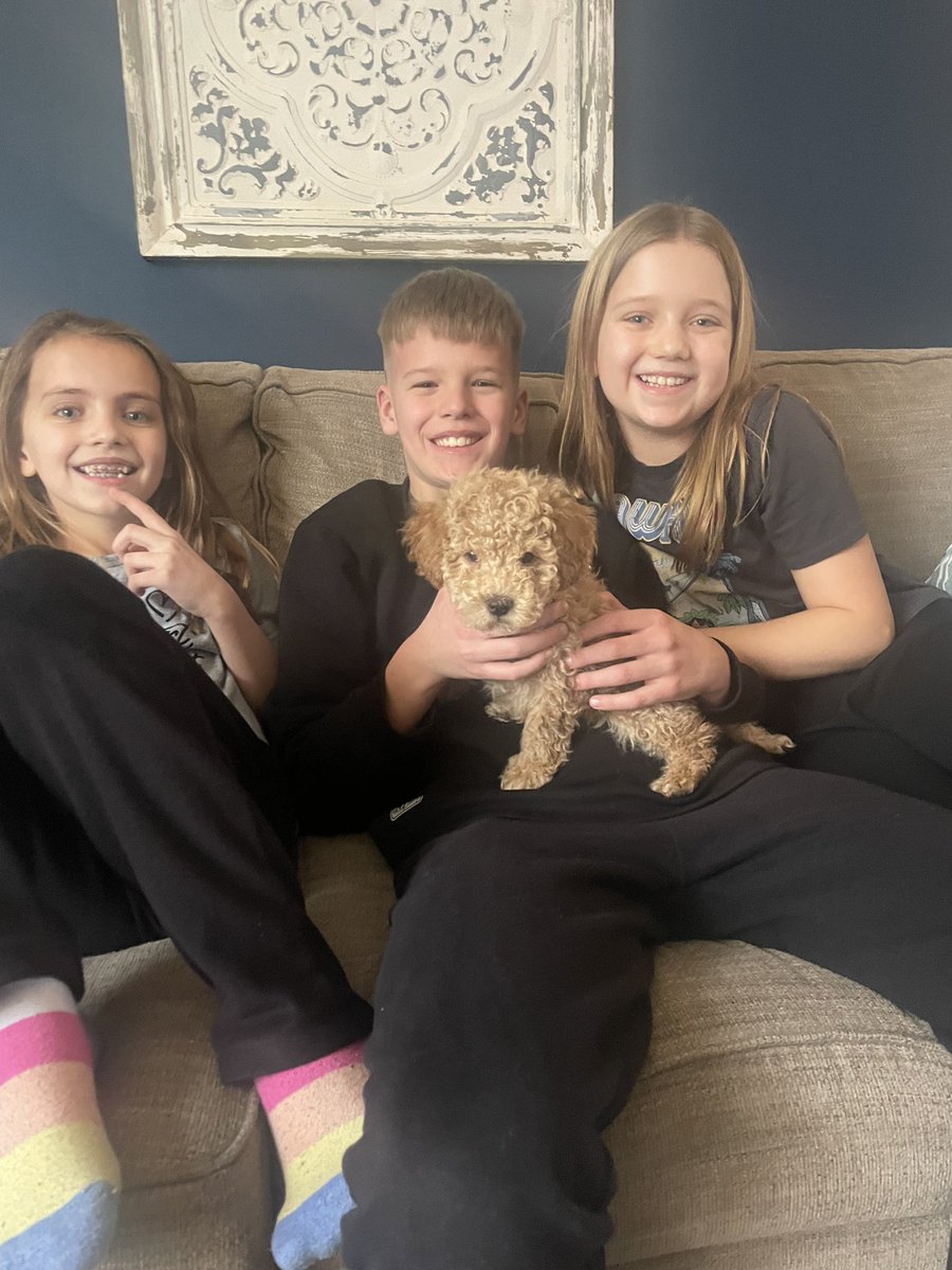 CMDando's tweet image. Newest family member - Curly Lambeau Dando.  #Packers #Lambeau #GoPackGo