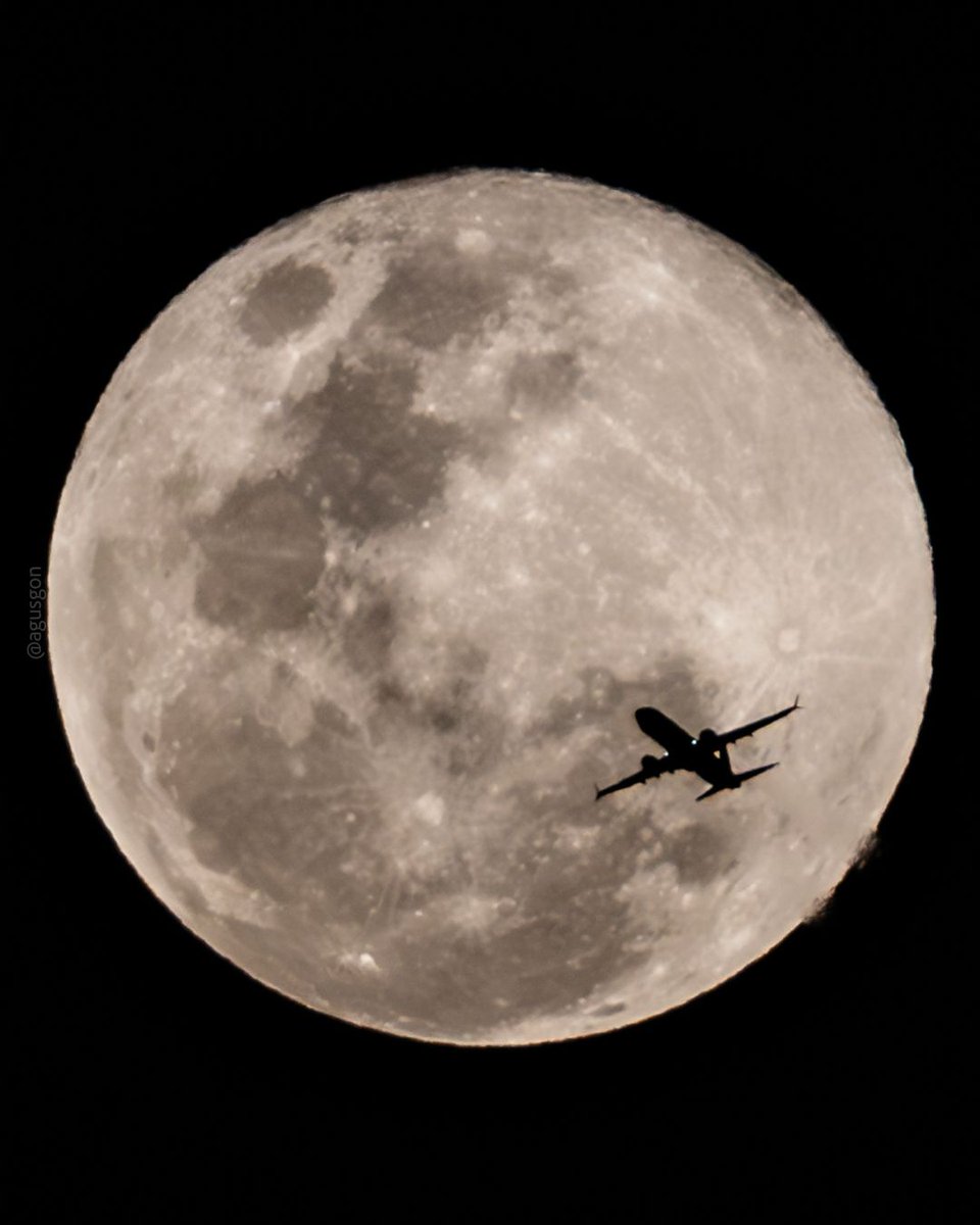 Agustín Gonçalves tweet media