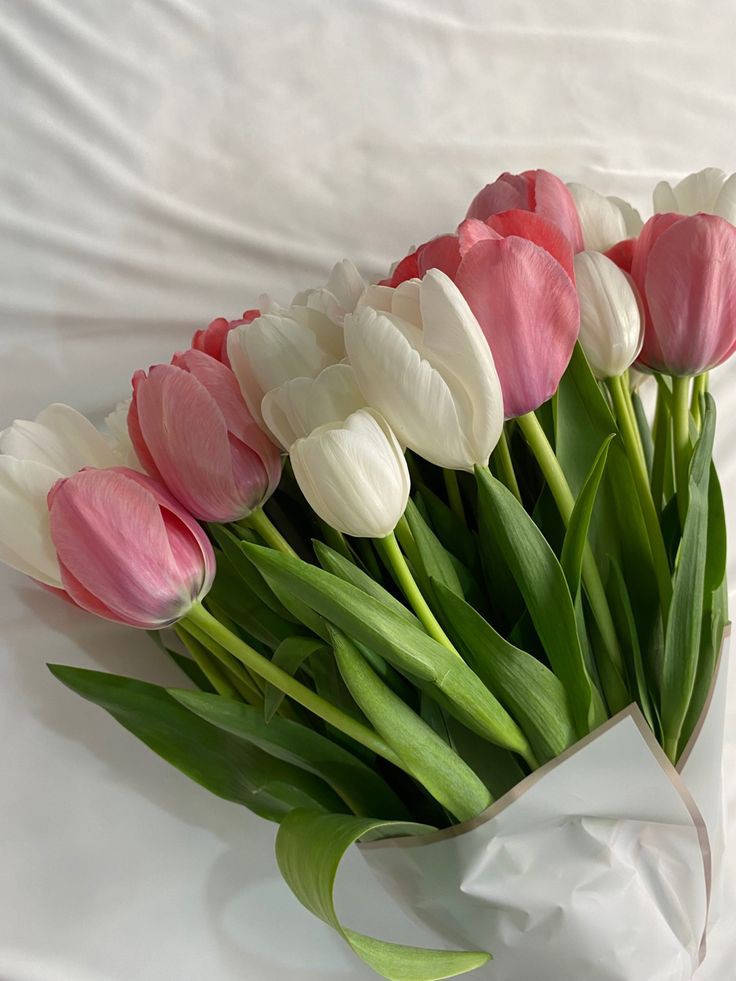 Only Tulips (@tutututututulip) on Twitter photo 