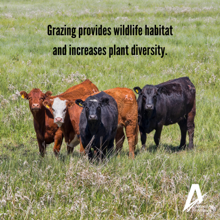 Animal Ag Alliance tweet media