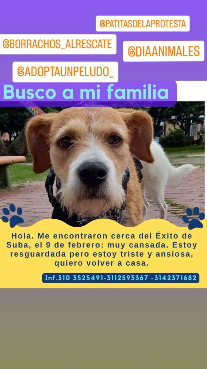 RESCATESYADOPCI's tweet photo. https://t.co/F3q1bIG0Sg