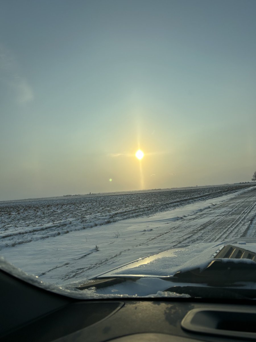 chadlanik tweet media