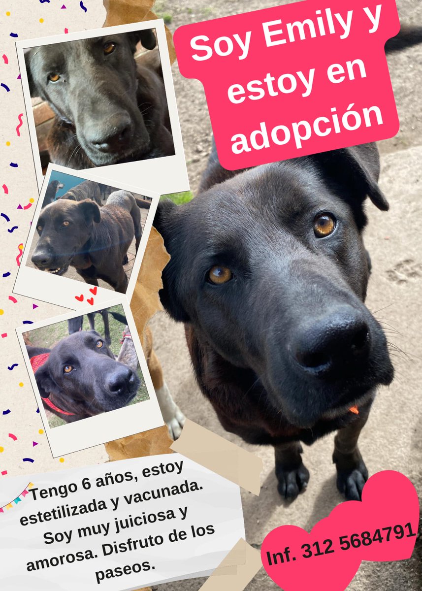 RESCATESYADOPCI's tweet photo. https://t.co/50nOxhkXAz