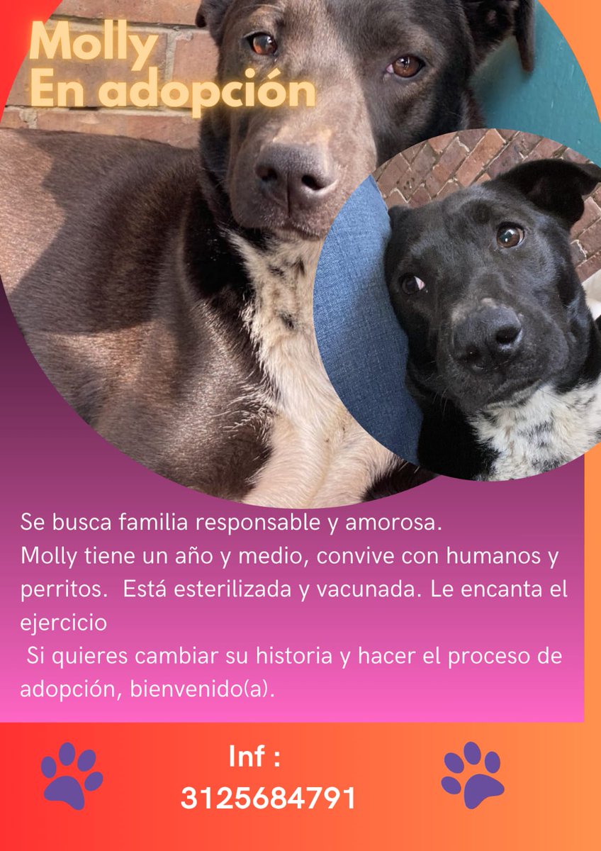RESCATESYADOPCI's tweet photo. https://t.co/paf7n2HrG2