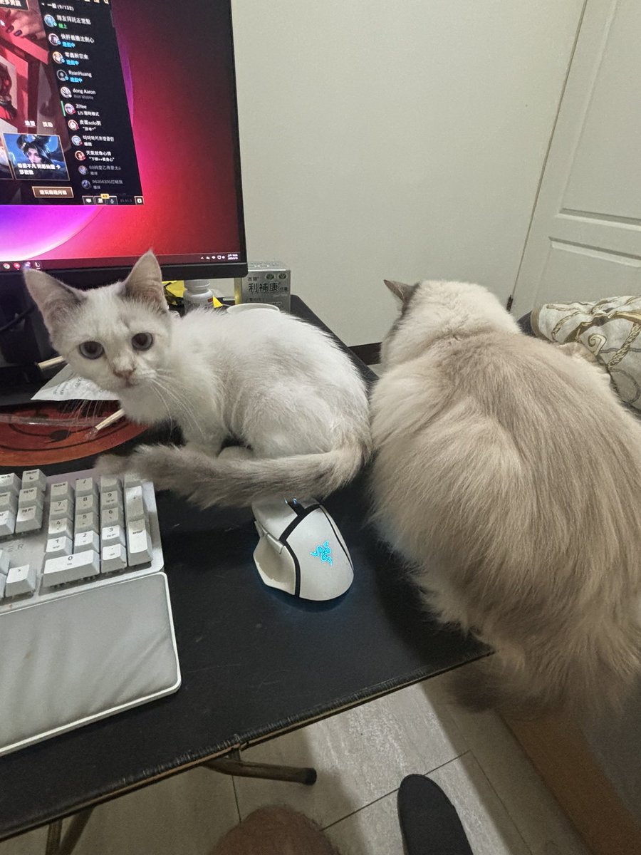 你們擋在這邊的我怎麼打電動？