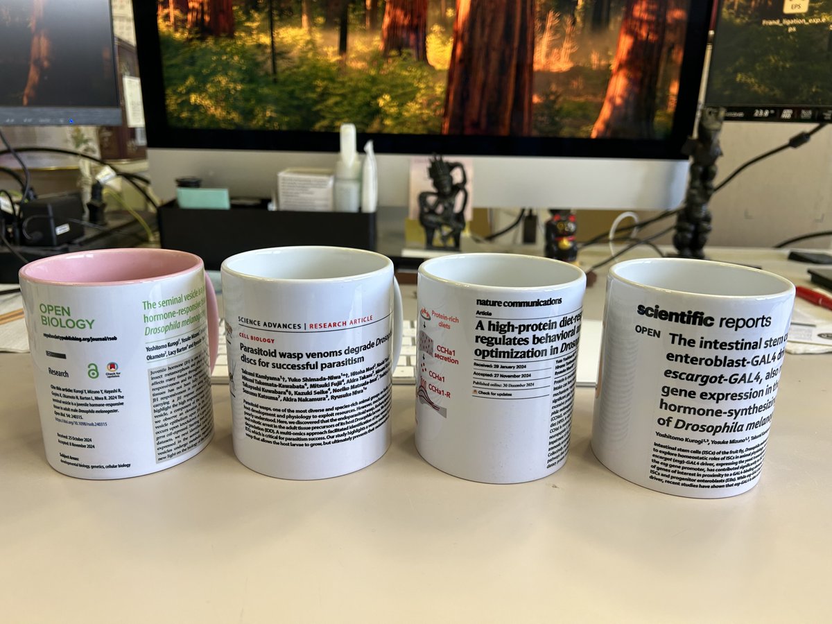 TsukubaNiwaLab's tweet photo. Publication mugs we got in the last month.
Two more were added.
#ScienceGrit https://t.co/yYdhJZ79Qz