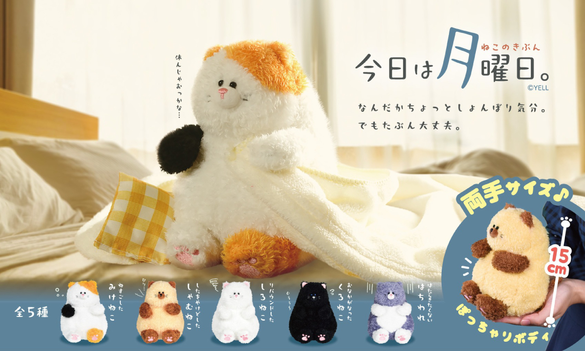 🐈2月新ぬいぐるみのご紹介🐈‍⬛ 『今日は月曜日。～ねこのきぶん