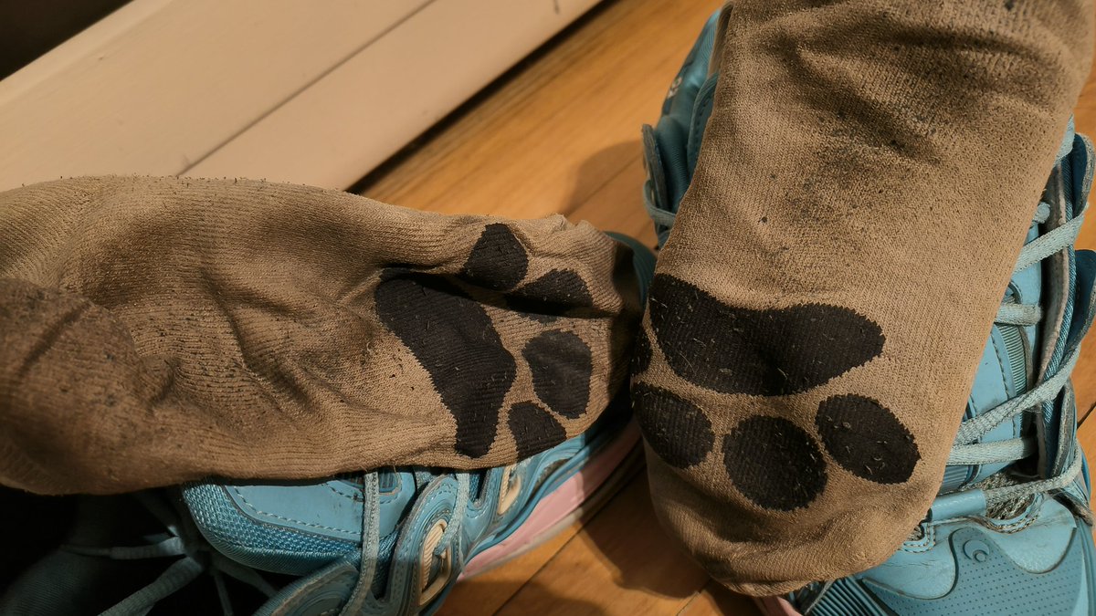 sock addict tweet media