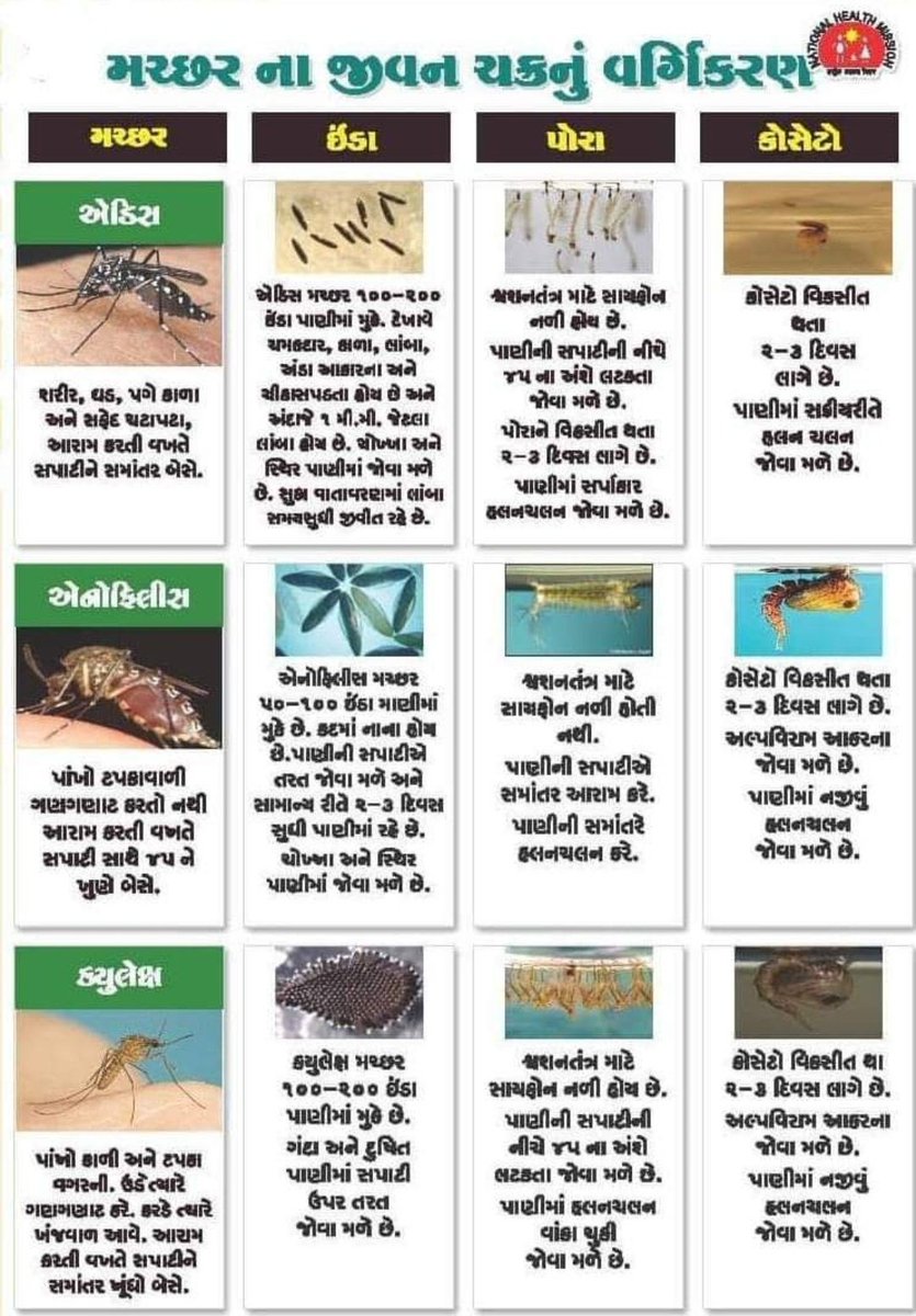 HasanpurGPMeh's tweet photo. ચાલો જાણીએ #મચ્છરનાજીવનચક્ર વિશે 
આપણા ઘરે ક્યાં મચ્છર ઉત્પન્ન થવાના છે તે વિશે અગાઉથી જાણીએ. 
વિવિધ મચ્છરનો ઓળખી #મચ્છરજન્યરોગો થી બચીએ.
પોરા કે કોસેટો જોવા મળે તો તેનો નાશ કરીએ અથવા તે પાણીનો નિકાલ કરીએ.  
તાવ આવે તો નજીકના આરોગ્ય કેન્દ્ર પરથી યોગ્ય સારવાર મેળવીએ.
@CDHOMeh https://t.co/aIhhM8VYS5